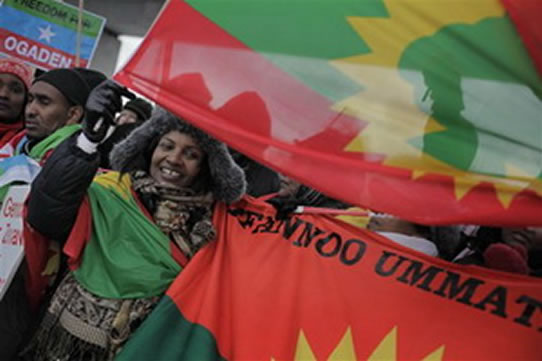 Oromo Liberation Front